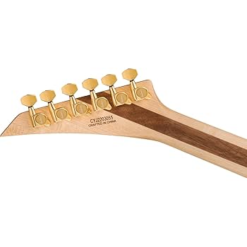ギター Jackson ProSoloist SLA3Q Amber Tiger Eye 2914327580_jac_ins_frt_1_rr__3